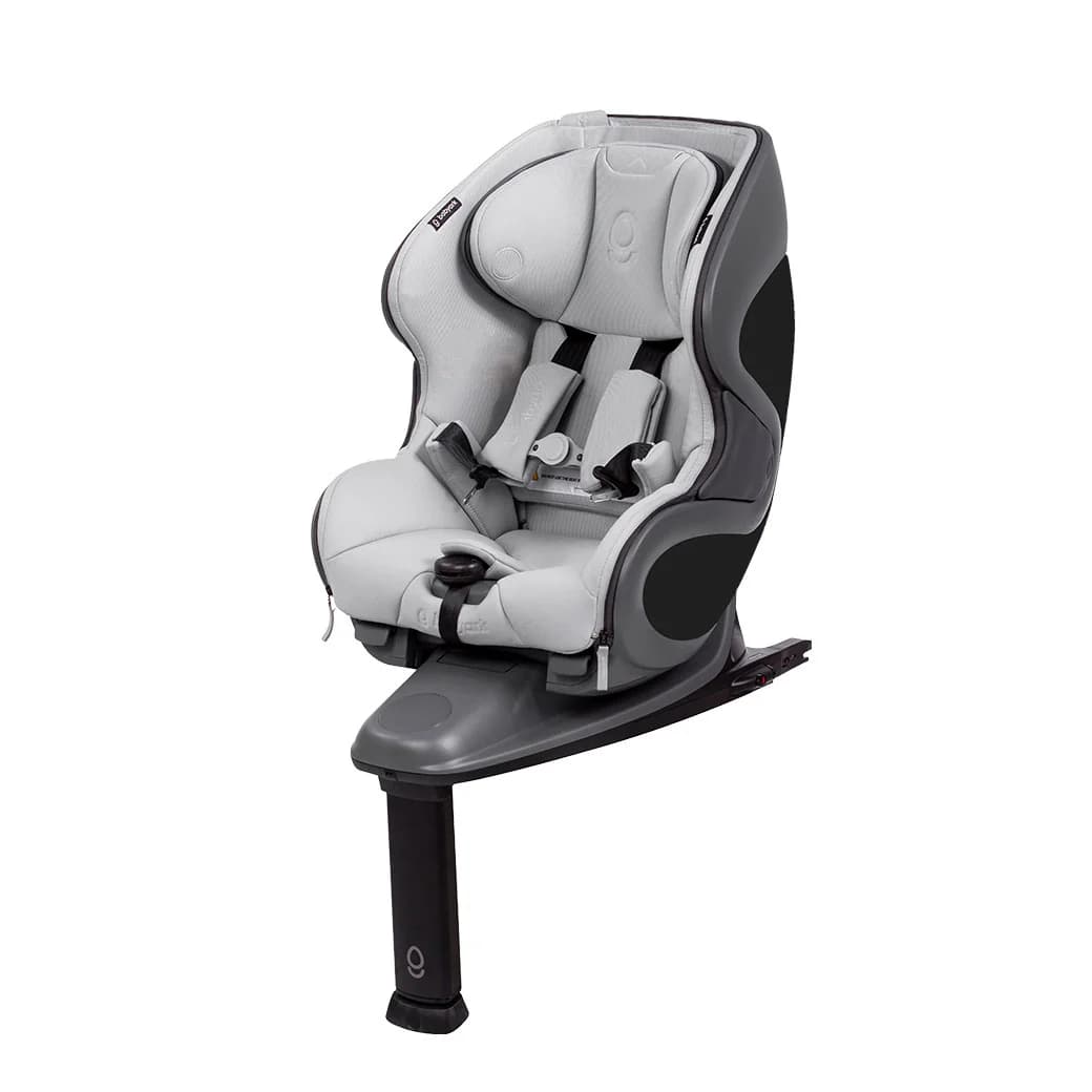 Classic Convertible Car Seat by Babyark