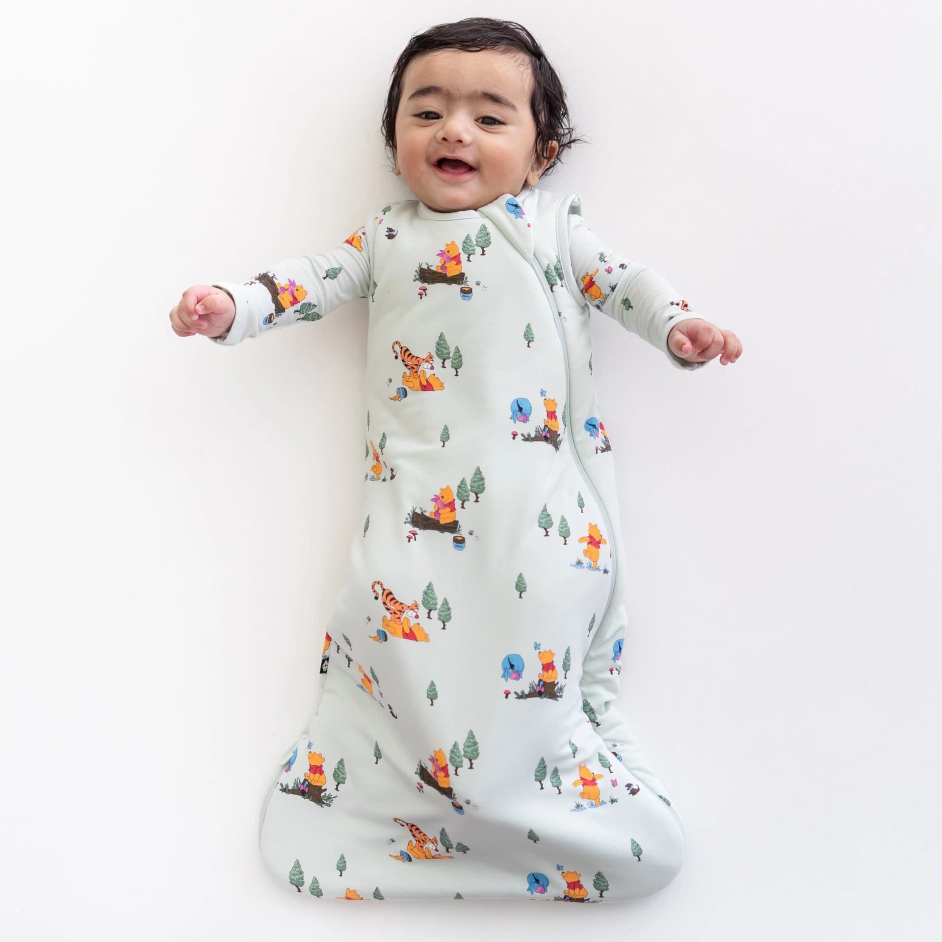 Sleep Bag in Winnie the Pooh Hundred Acre Wood 1.0 by Kyte Baby