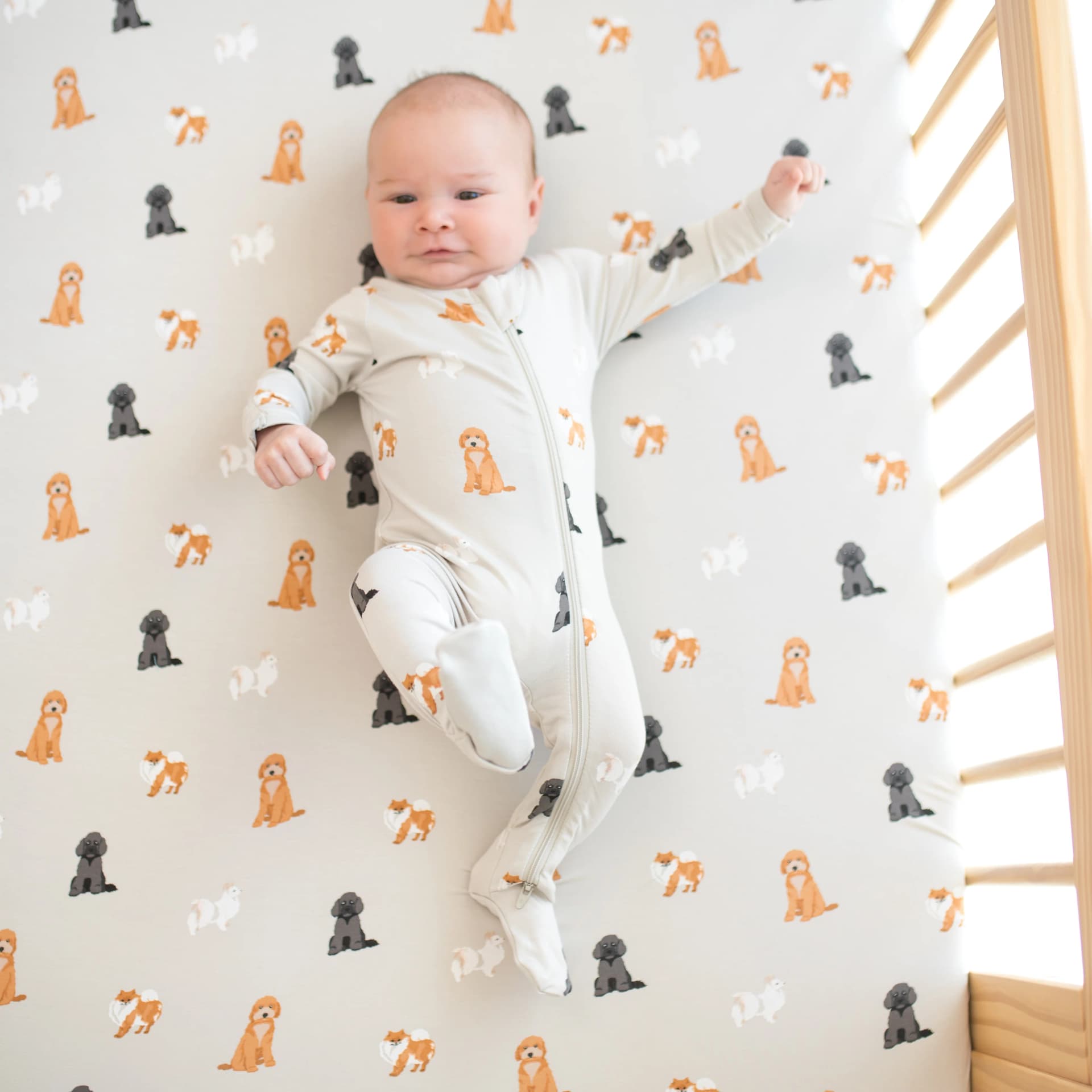Zippered Footie in Fluffy Dog by Kyte Baby