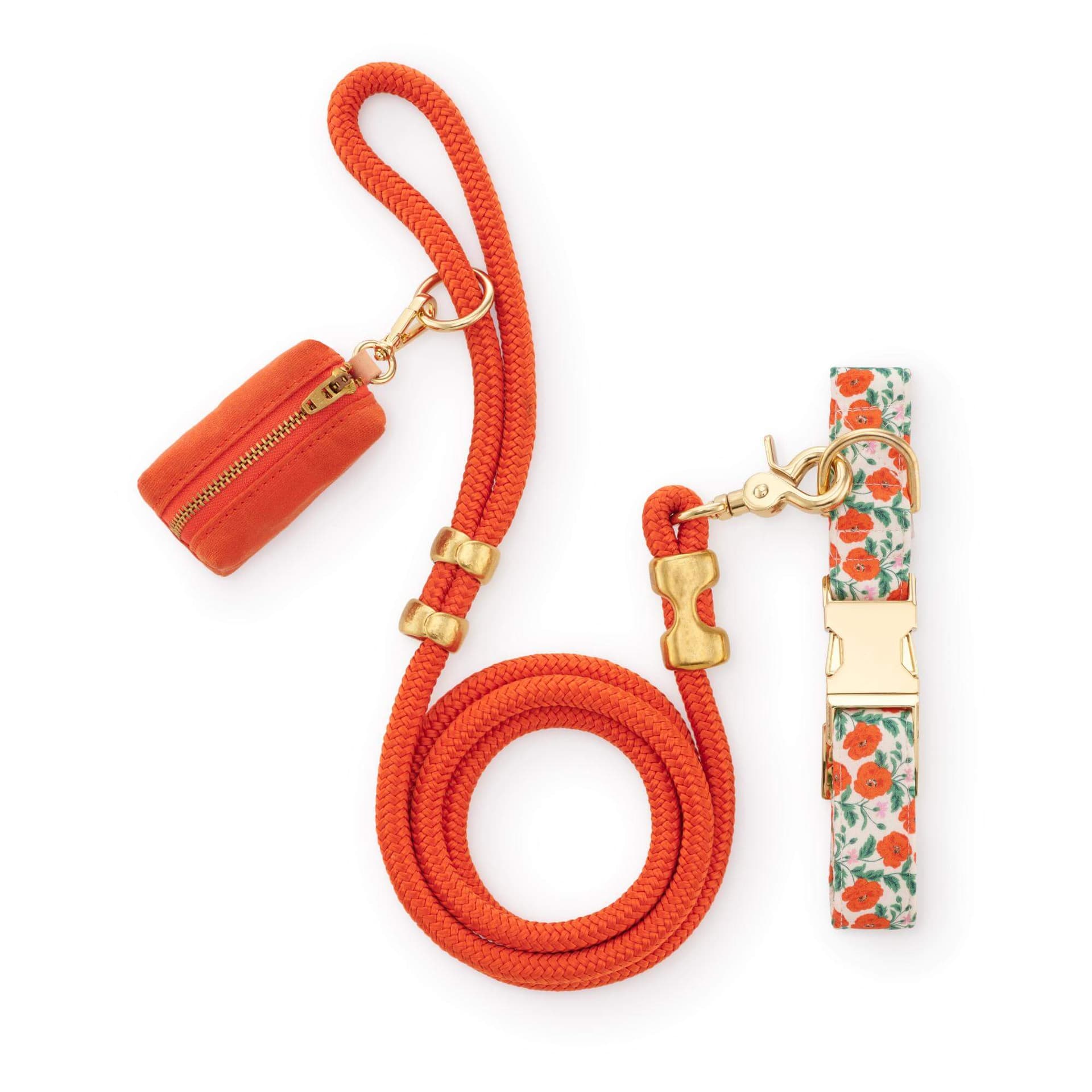 Golden Poppies Collar Walk Set by The Foggy Dog