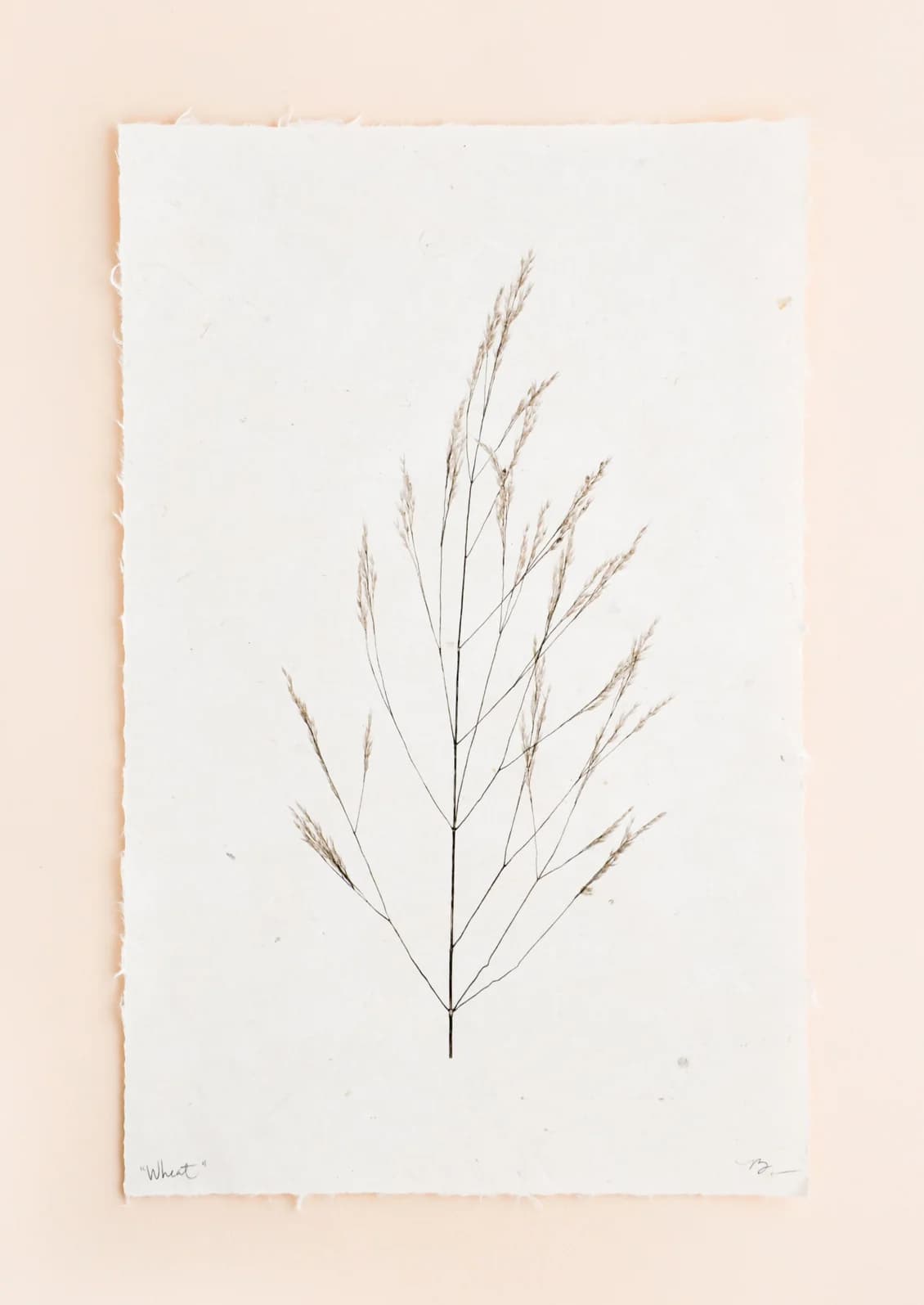 Wheat Form Sepia Print by Barloga Studios