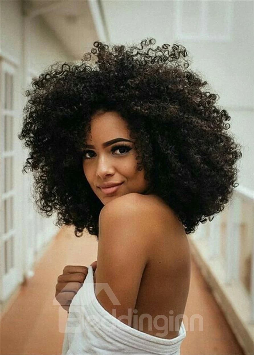 Big Afro Curly Synthetic Hair Capless African American Wig by BeddingInn
