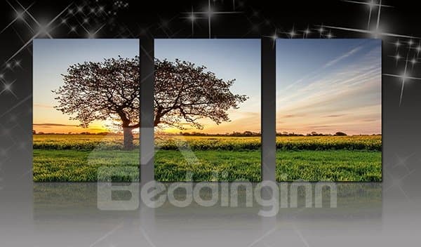 Giant Sycamore Tree Alone in Field 3-Panel Canvas Framed Wall Art Prints by BeddingInn