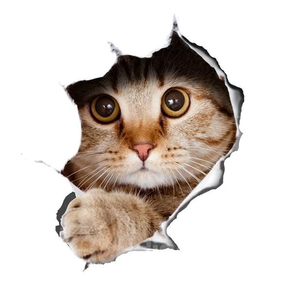 Super Cute Vivid Little Cat Pattern Removable 3D Wall Sticker by BeddingInn