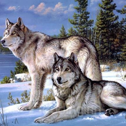 Vivid Masculine Adventurous Snow Wolf Pattern1-Piece DIY Diamond Wall Sticker by BeddingInn