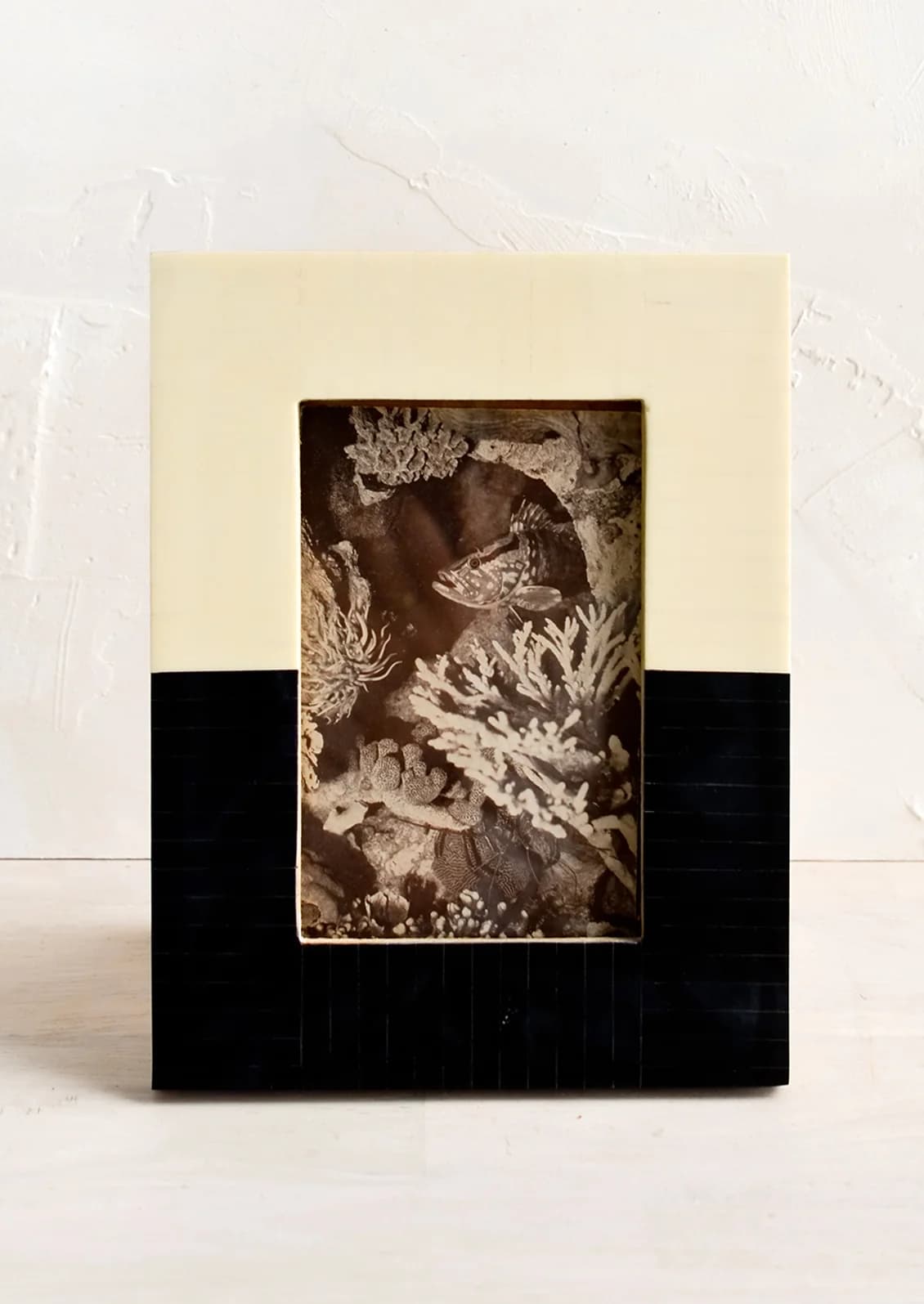 Noisette Picture Frame by Creative Co Op
