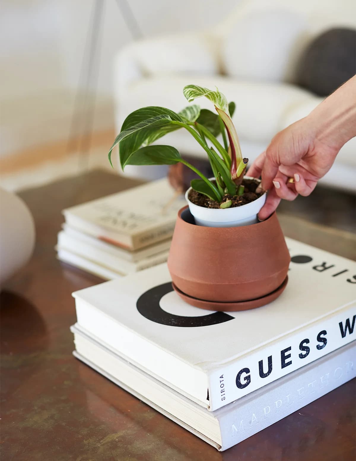The Rancho Planter by Lbe Design