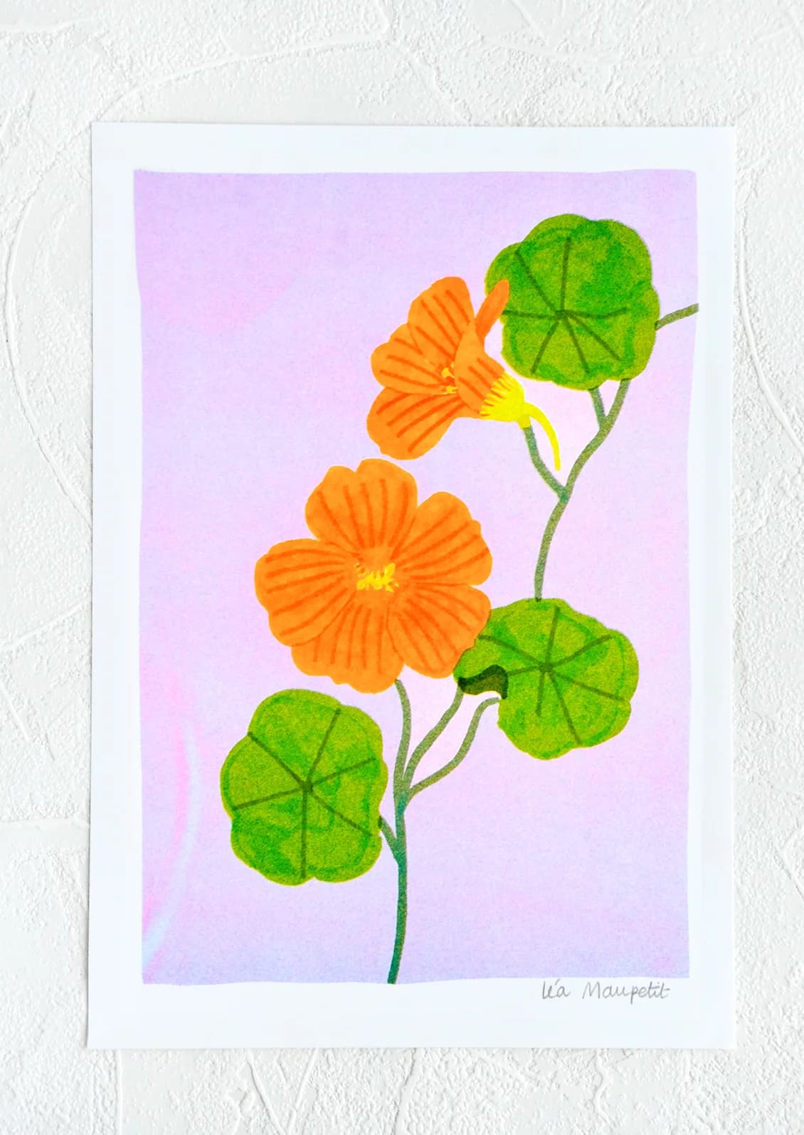 Nasturnium Print by Le Mau Petit