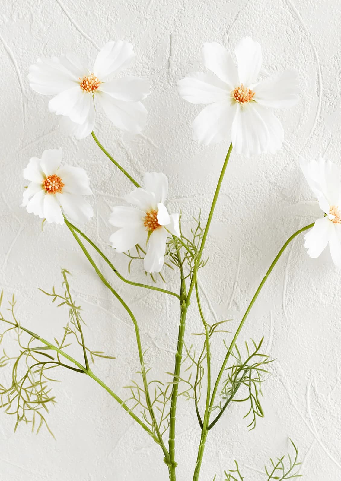 Faux Cosmos Stem by Napa Home & Garden