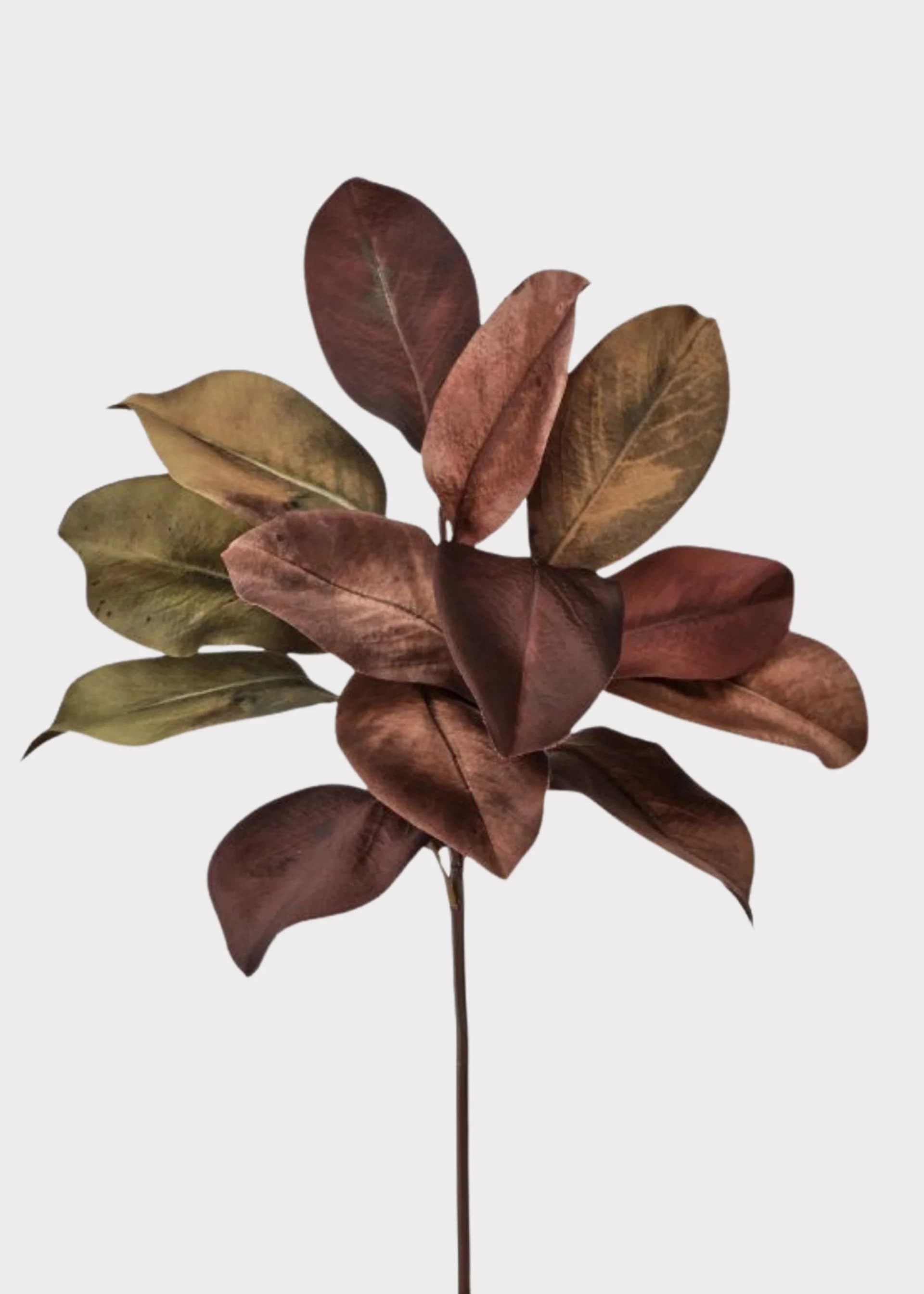 Autumn Burgundy Brown Fake Magnolia Leaf Pick - 18" by Radial