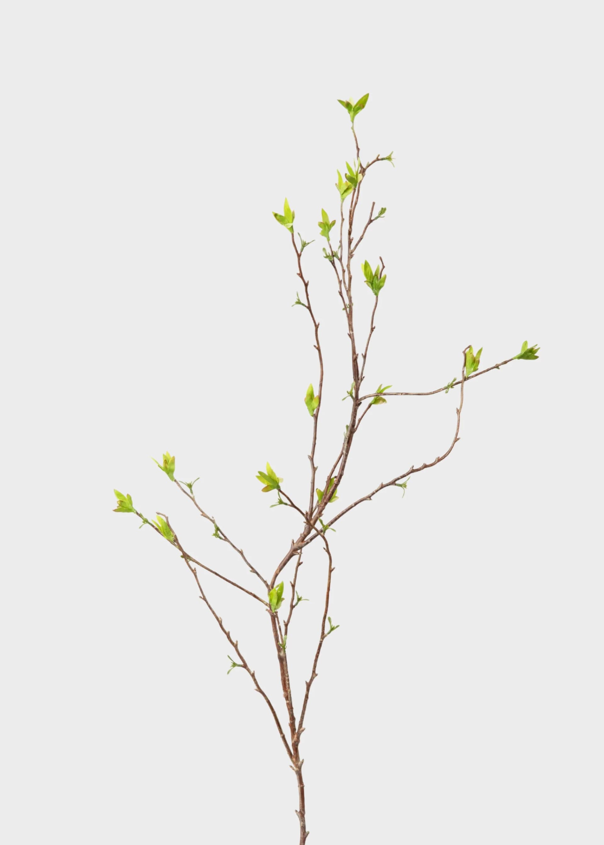 Green Artificial Budding Spring Willow Branch - 41" by Radial