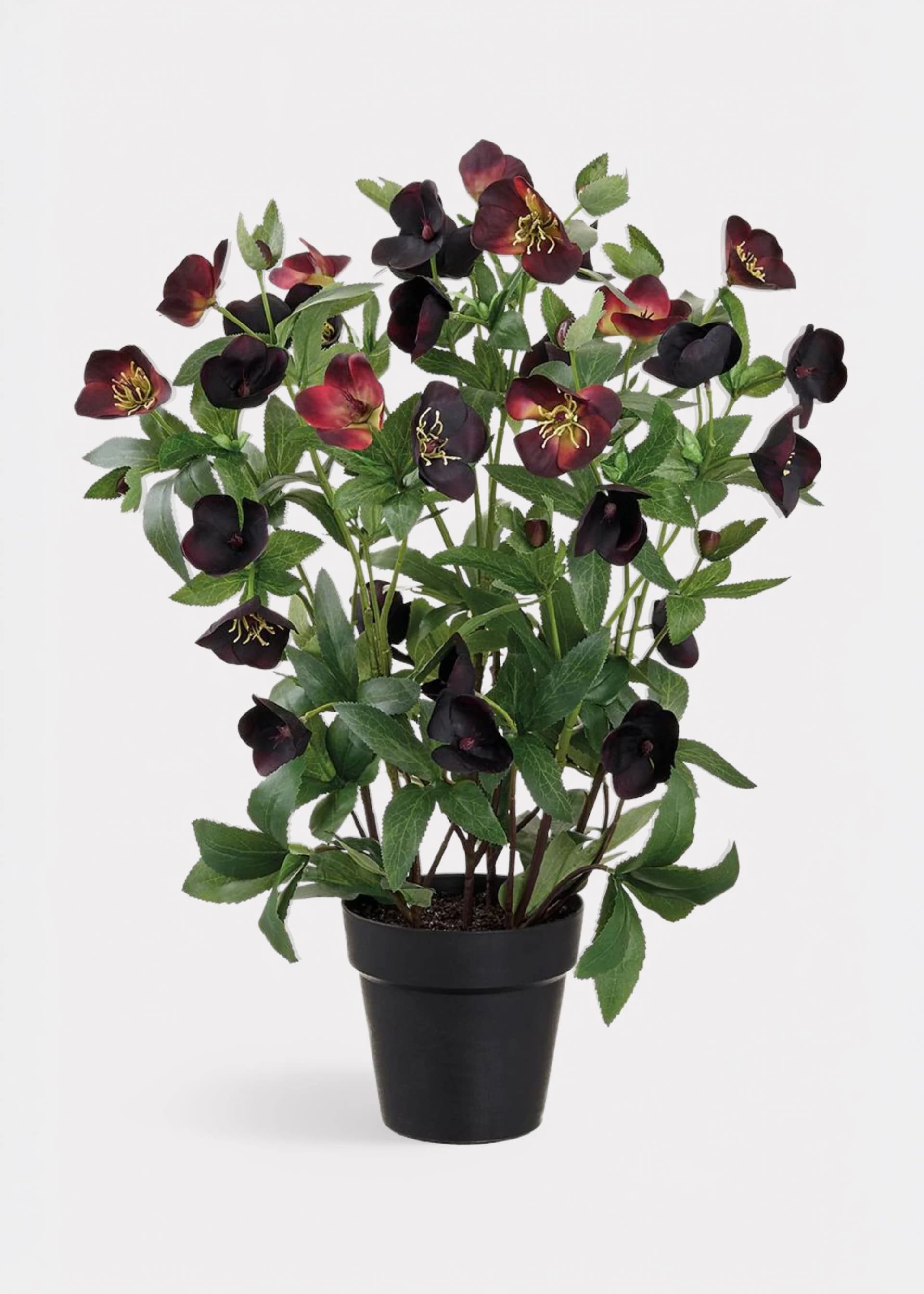 Plum Purple Helleborus Fake Flower Arrangement in Pot - 22" by Radial