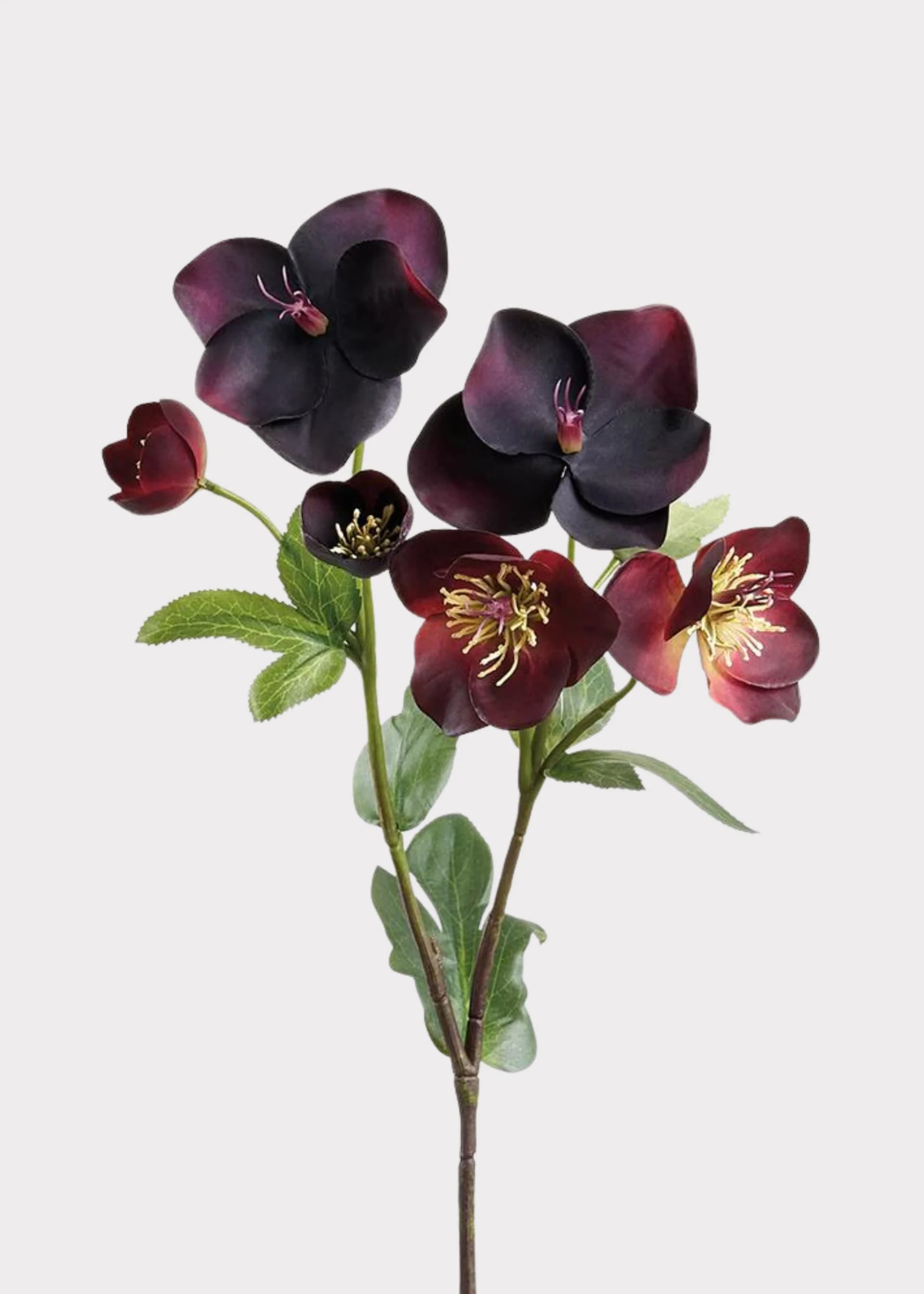 Plum Purple Real Touch Helleborus Artificial Flowers - 17" by Radial