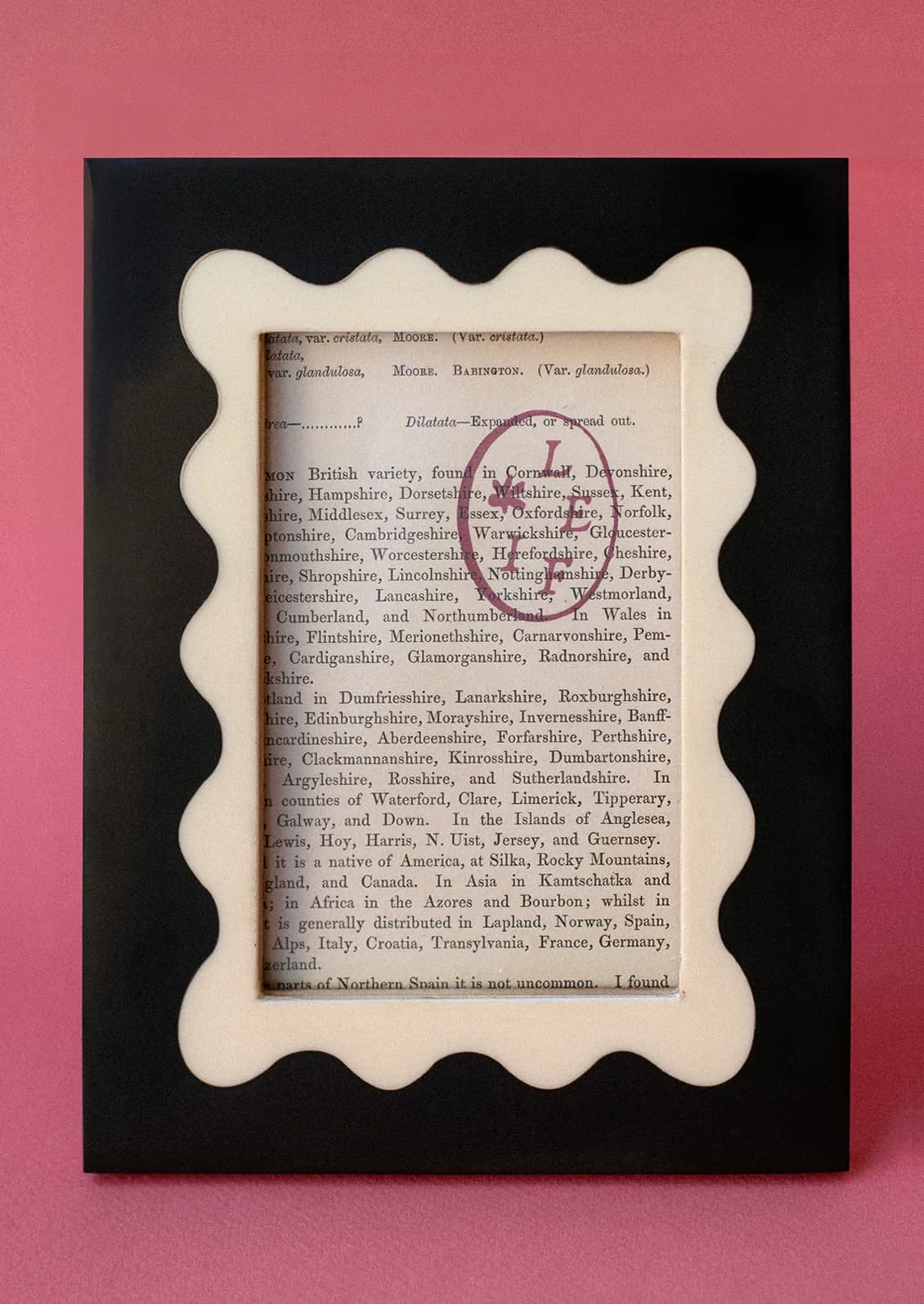 Two Tone Squiggle Picture Frame by Shiraleah